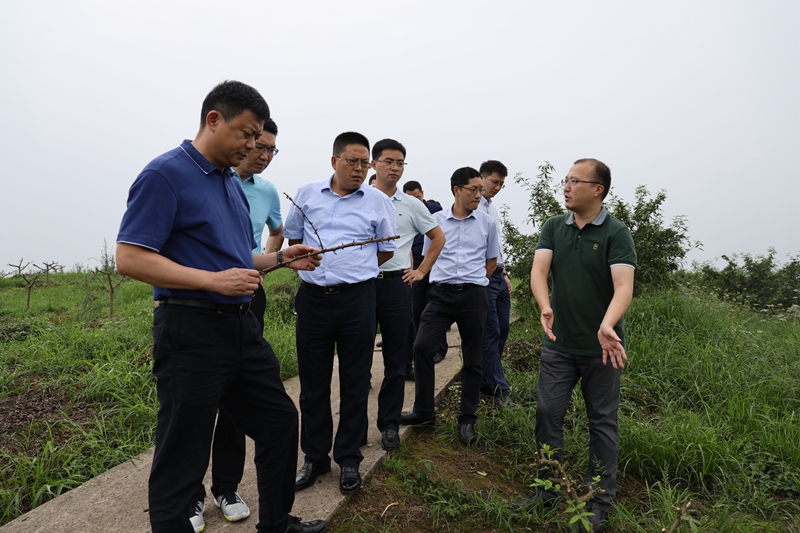 熊隆东到达川区督导调研脱贫攻坚并慰问党员 政务要闻 达州市达川